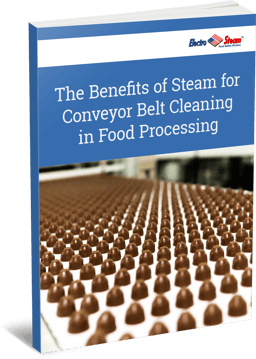 The-Benefits-of-Steam-for-Conveyor-Belt